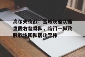 爱游戏入口-高尔夫夜战：雪域灰熊队翻盘陇右貔貅队，临门一脚致胜教练团队居功至伟