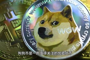 爱游戏官网-专家称SHIB将在年底冲破狗狗币美元，引发引发关注