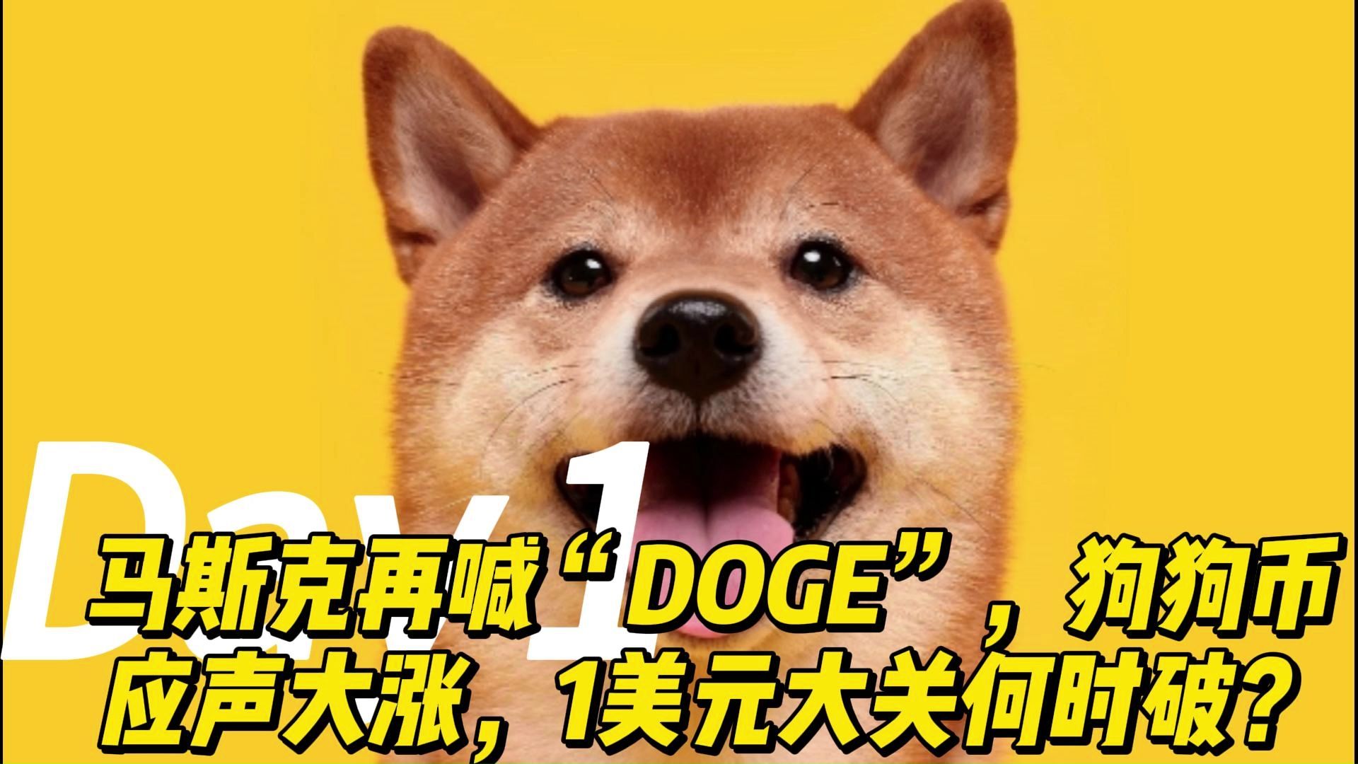 专家称狗狗币将在年底冲破29.26美元，引发引发关注